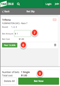 Trifecta Payout Chart